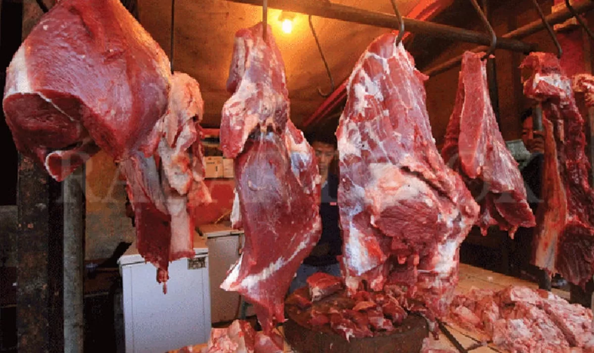 Jelang kesepakatan pengurangan tarif, minat Polandia terhadap ekspor daging sapi ke Indonesia kian meningkat – Lombok Insider